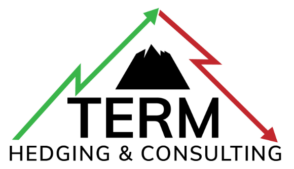 TERM Hedging and Consulting